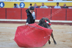 AULA PRÁTICA      1º Aniversário da Escola de Toureio e Tauromaquia da Moita    